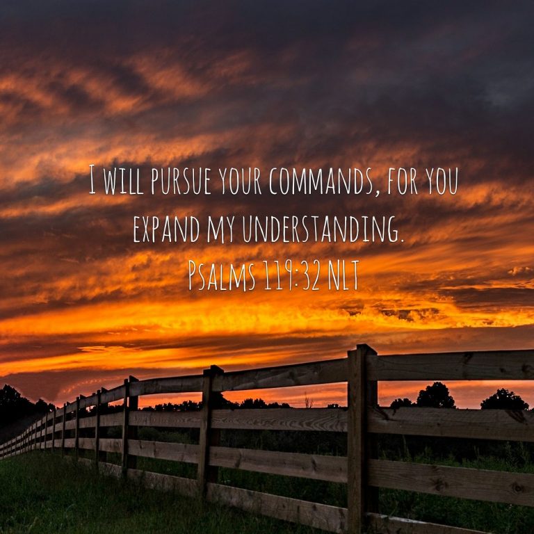 The Pursuit Of Understanding